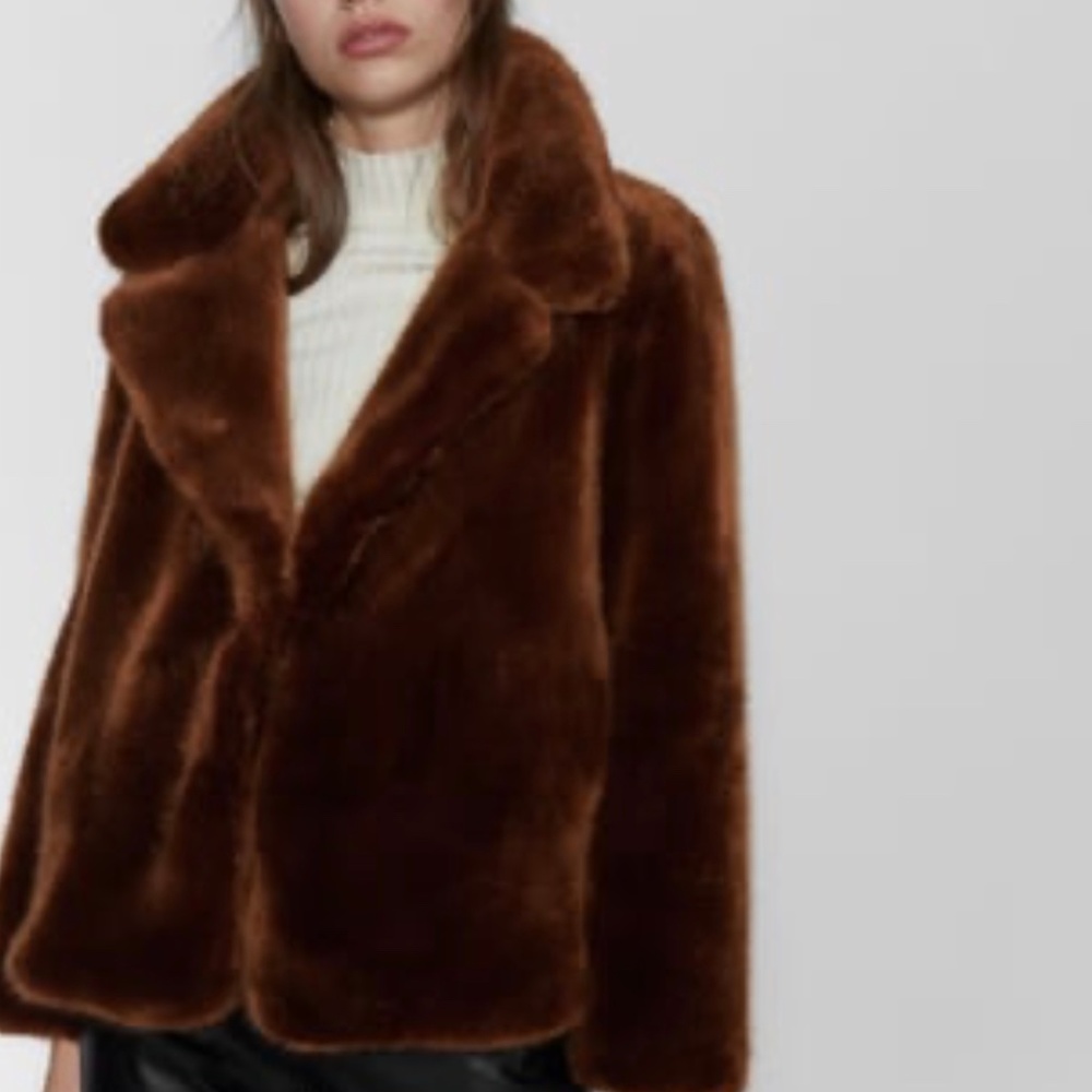 ZARA Faux Fur Coat:Brick, US  L - Picture 6 of 10